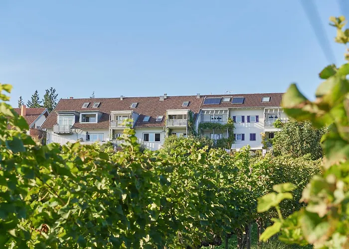 Ferienwohnungen Weingut Deufel