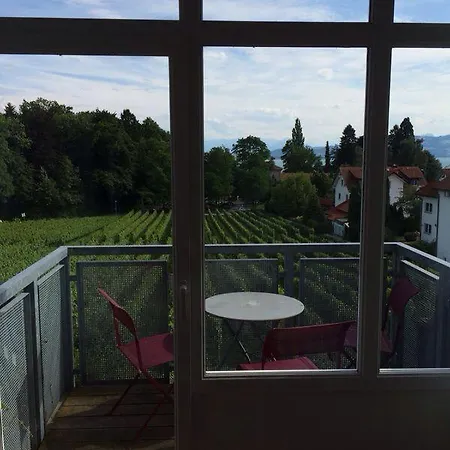 Ferienwohnungen Weingut Deufel Lindau  Buitenkant foto